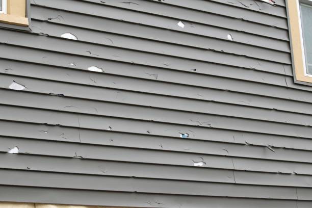 Best Hoarding Cleanup  in Diablo Grande, CA